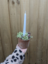 Load image into Gallery viewer, Rustic Moss Christmas Candle Arrangement
