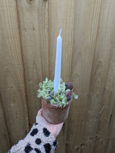 Load image into Gallery viewer, Rustic Moss Christmas Candle Arrangement
