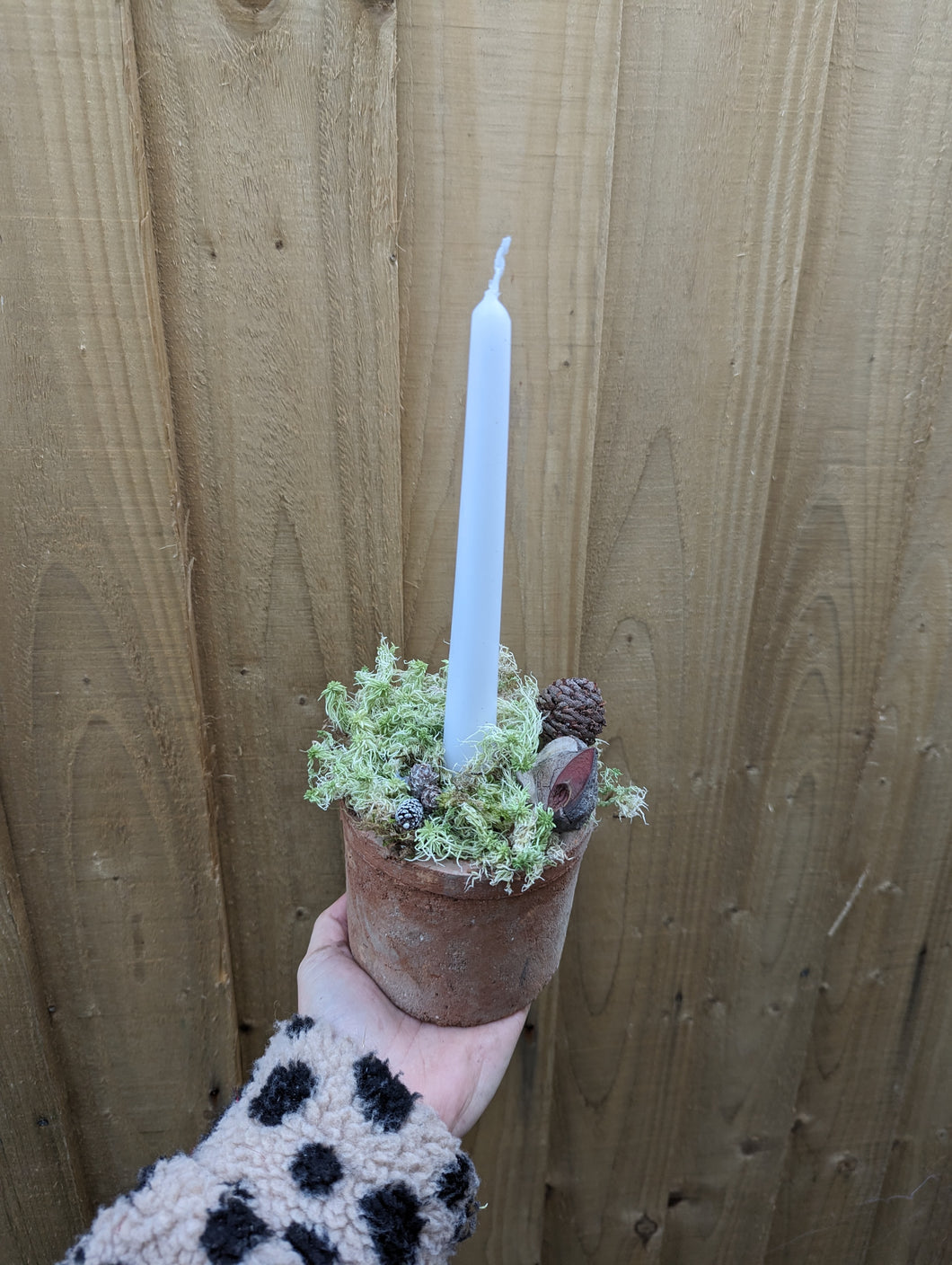 Rustic Moss Christmas Candle Arrangement